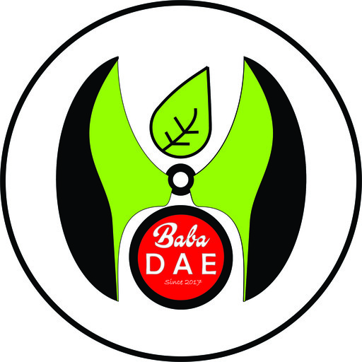 Baba Dae