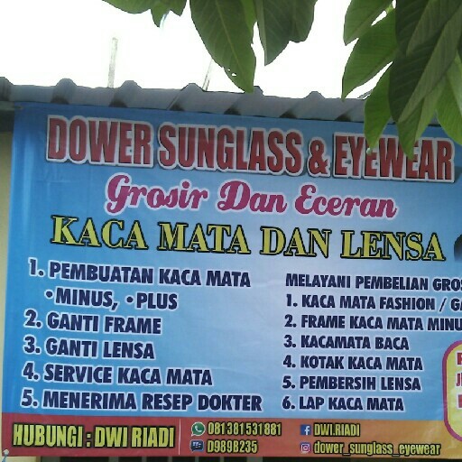 Dower Sunglass Dan Eyewear