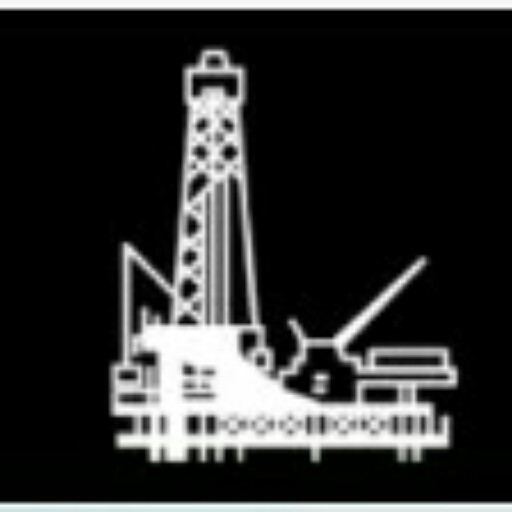 PT Lins Petrotama Energi