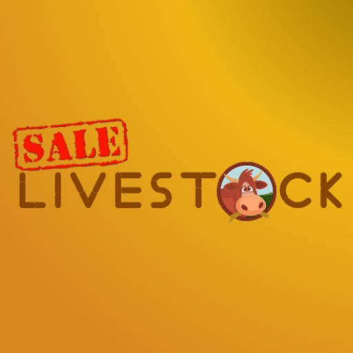 Sale Livestock