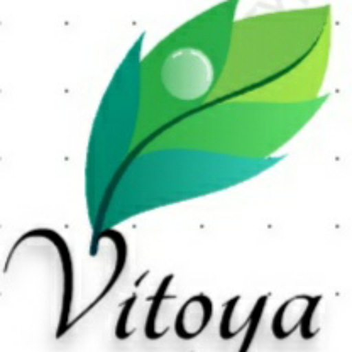 Go-Vit
