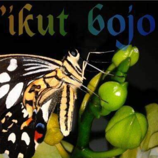Ikut Bojo Coffee Shop