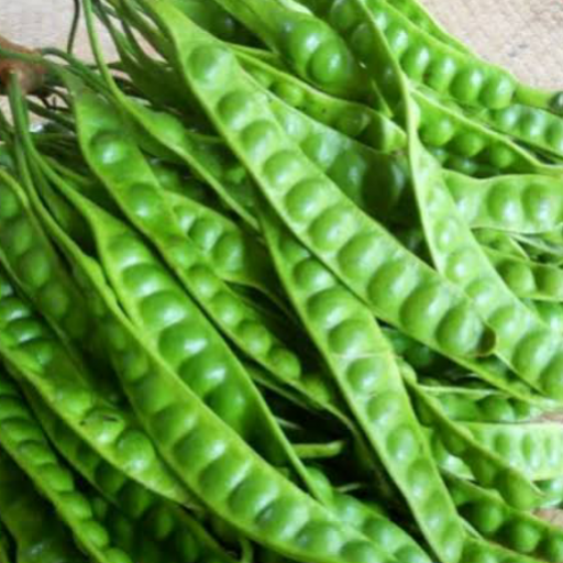 Petai Segar
