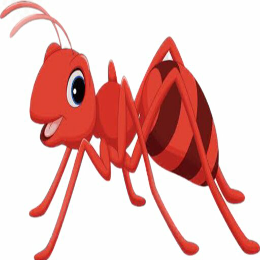 Semut Merah