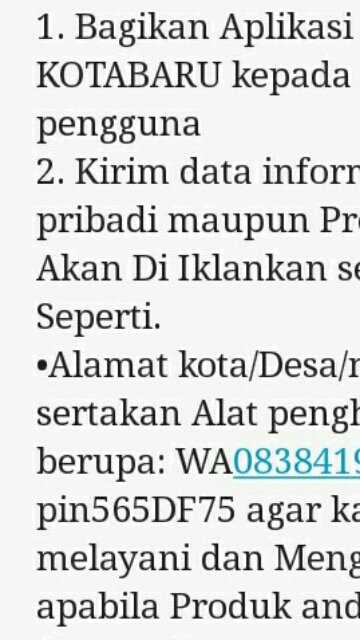 Jual Beli Online Kotabaru: Menggagas Ekonomi Digital di Bumi Saijaan