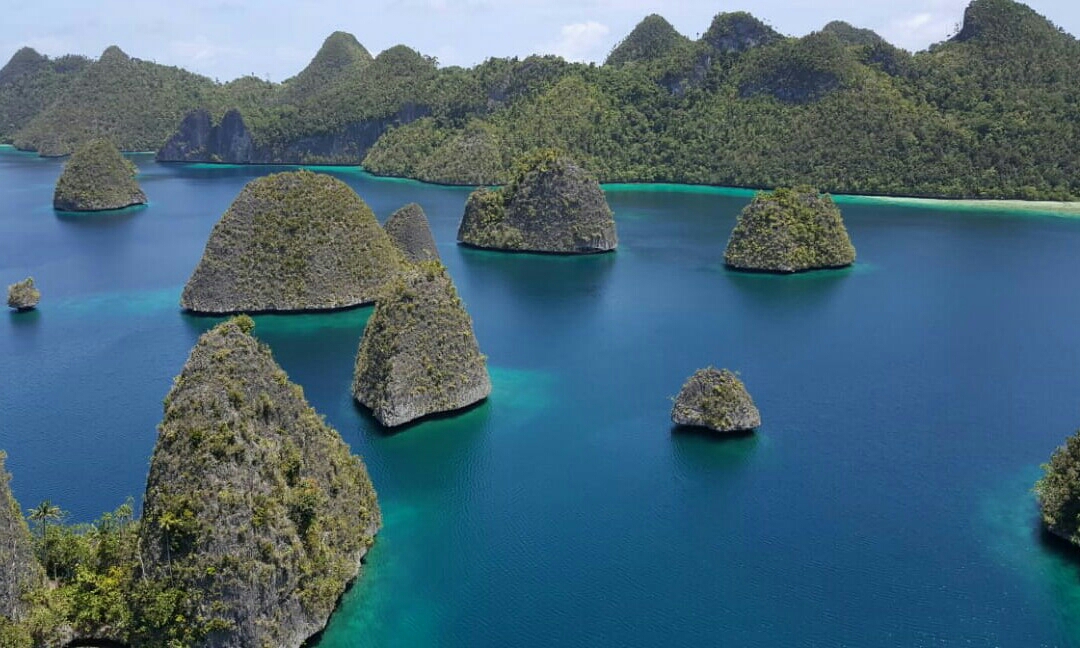 CHOCOLICIOUS INDONESIA 2