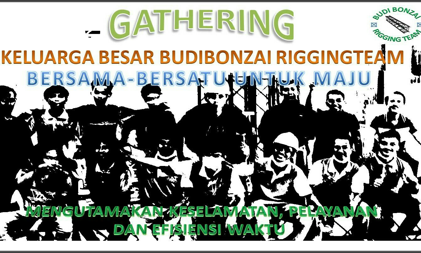 BUDIBONZAI RIGGING 0