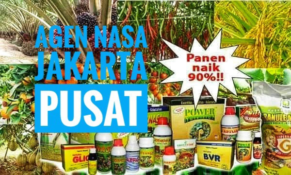 Agen Herbal Nasa Jakarta 1