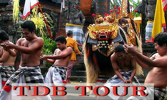 TDBALI 1