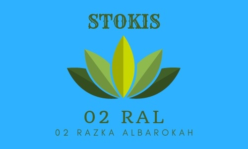 RokHerSin 02 RAL 6