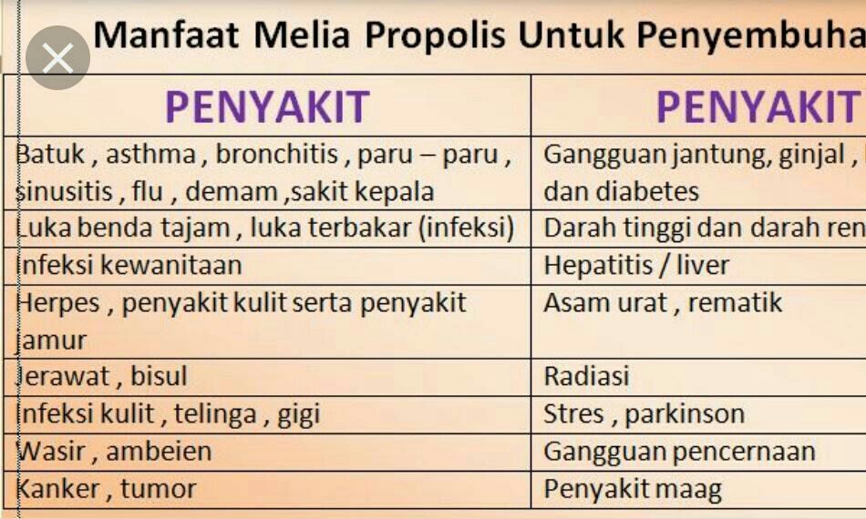 MELIA SEHAT SEJAHTERA 3