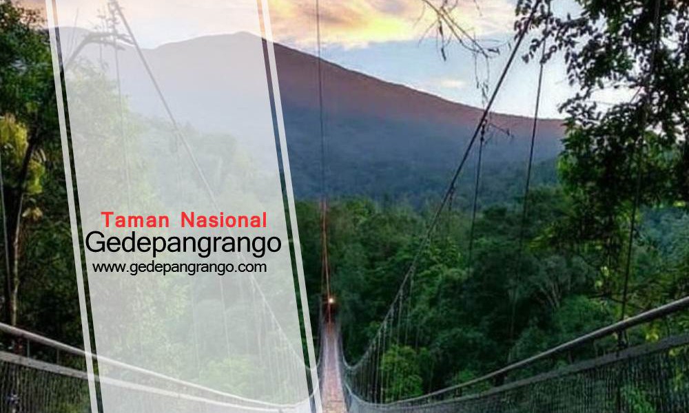 BC Yaman GedePangrango 2