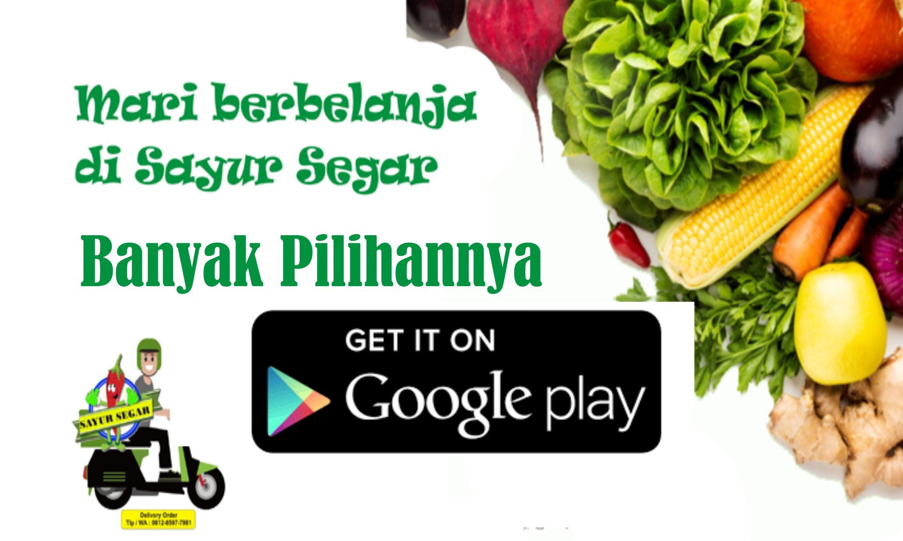 Sayur Seger 1