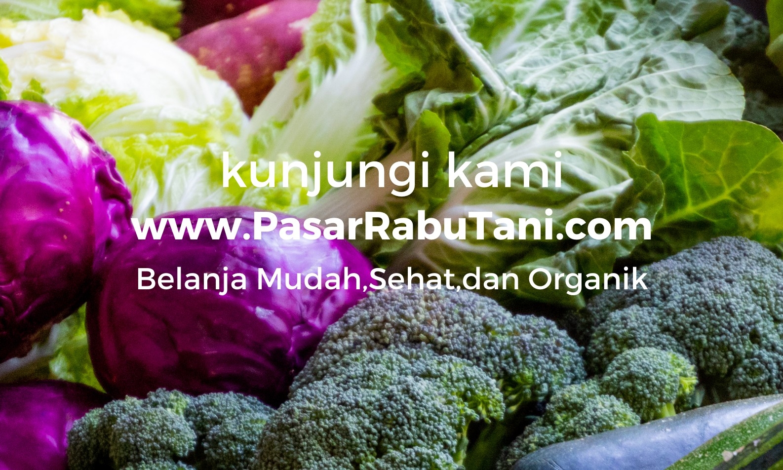 Pasar Rabu Tani 0