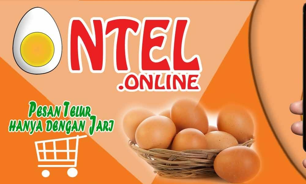 ONTEL 0