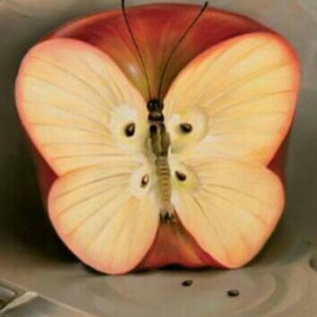 Apa Pertama Terlihat Pd Gambar 3