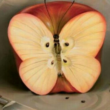 Apa Pertama Terlihat Pd Gambar 4