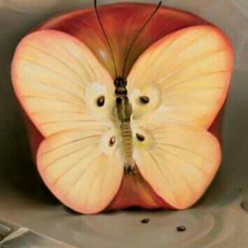 Apa Pertama Terlihat Pd Gambar 5