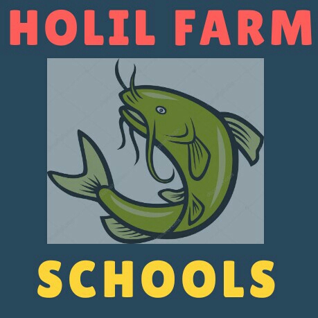 Bibit Anakan Ikan Lele 2