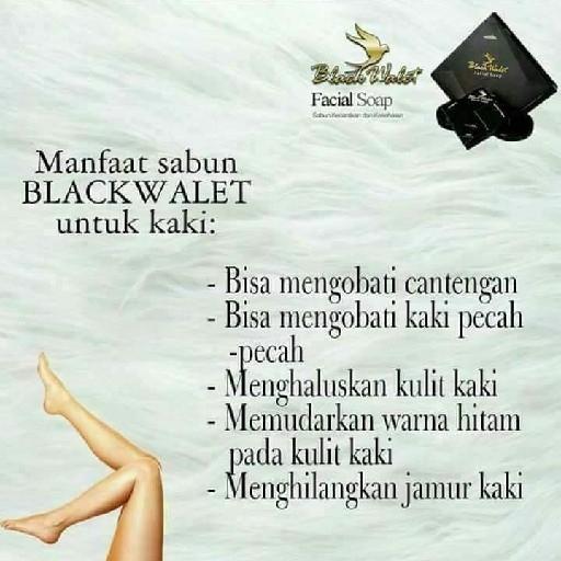 Black Walet 5