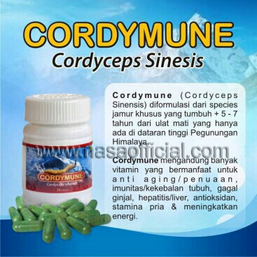 CORDYMUNE 3