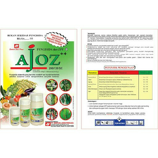 Cankali Cantik Santamicro Ajoz 3