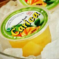 Carica Pepaya Dieng 2