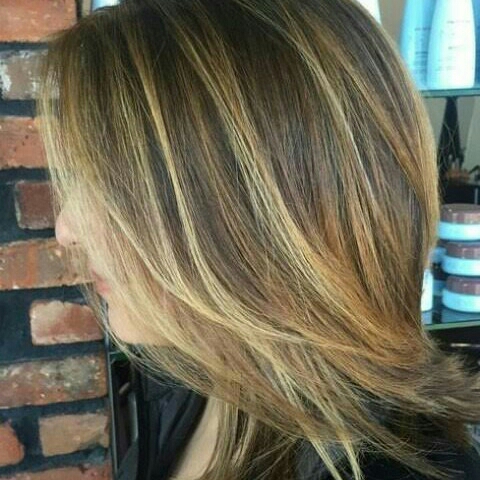 Cat Rambut 2