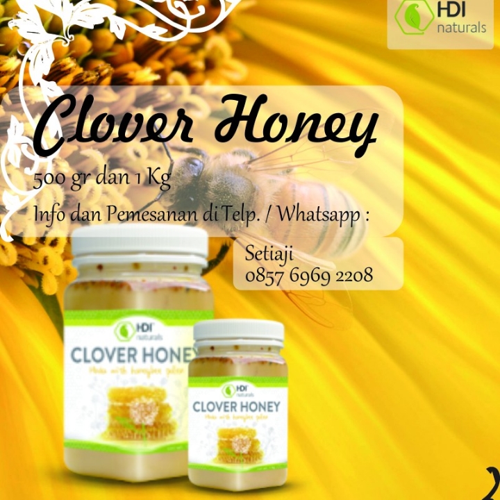 Clover honey  4