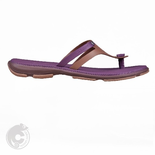 DEBBIE variant Violet 2