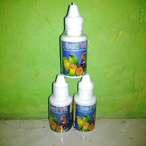 Ebod Vit 3