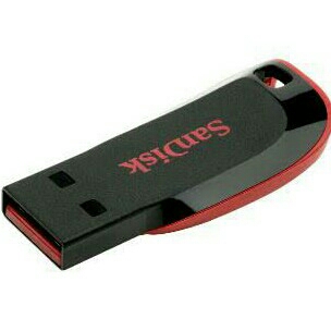 FLASHDISK Sandisk Cruzer 8gb 2