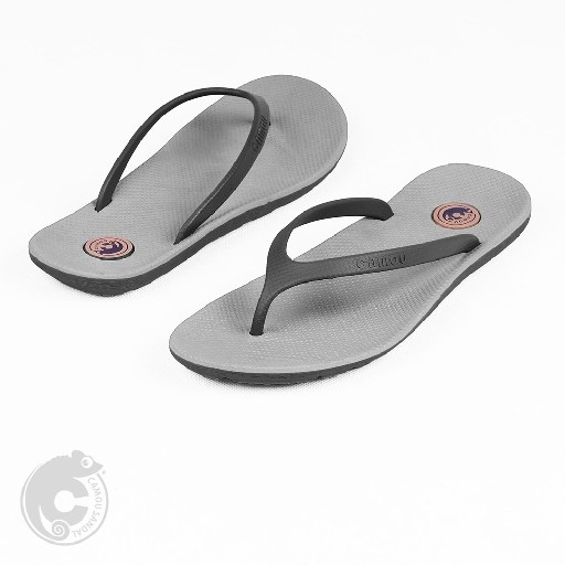 FLIPFLOPS CHELSEA variant Chia 4