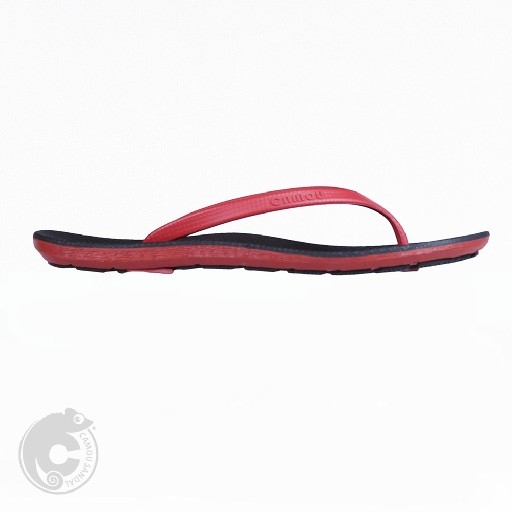 FLIPFLOPS CHELSEA variant Mica 2