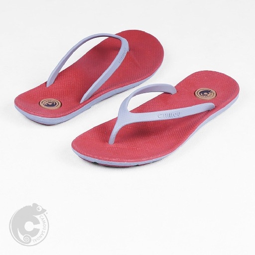 FLIPFLOPS CHELSEA variant Teff 4
