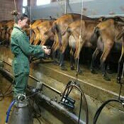 Fix milking sistem 2-4 3