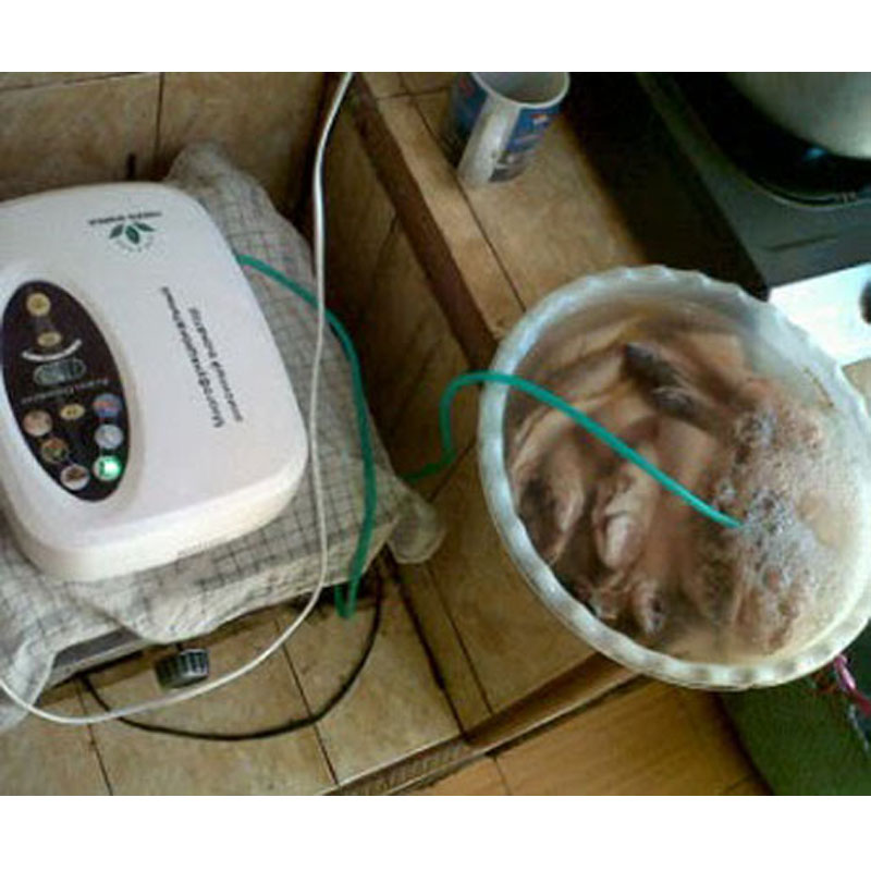 Green World Anion Oxygen Machine berfungsi menghasilkan O3 5