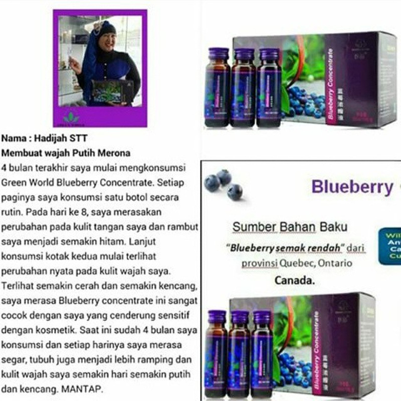 Green World Blueberry Concentrate Dengan Antioksidan Tinggi 2