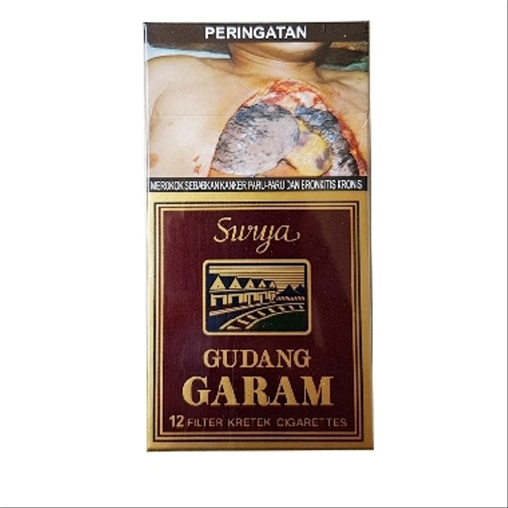 Gudang Garam Rokok Filter Surya Coklat 12'S