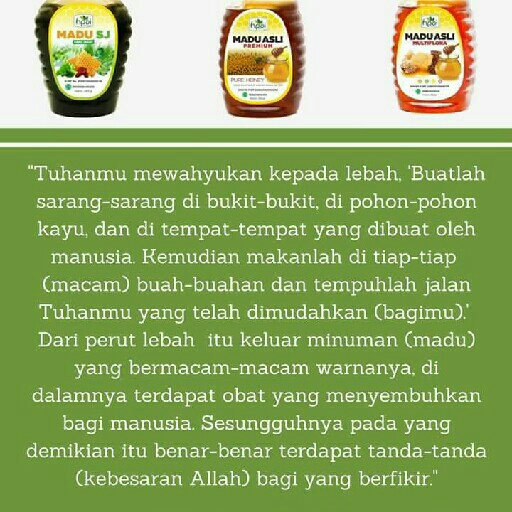 Hpai 2