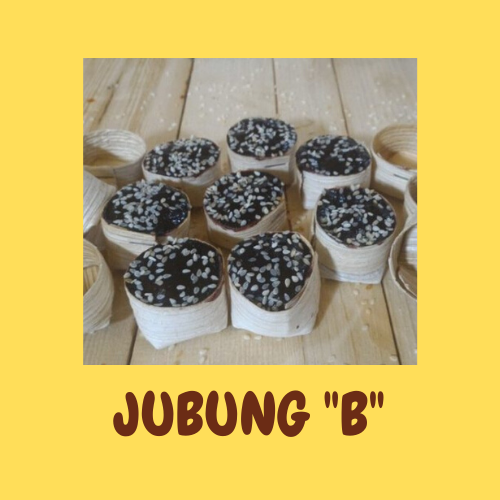 Jubung 