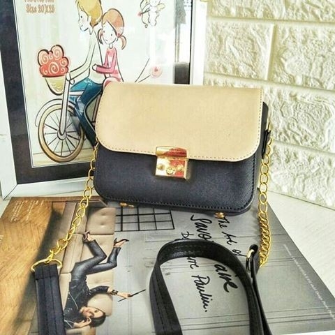 Loly 2 Tone Bag 5