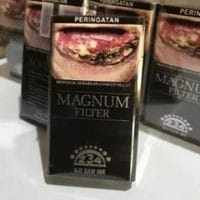 Magnum Filter 12