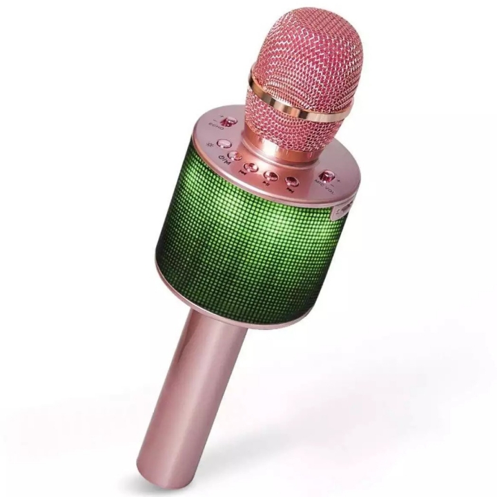 Mic Portable 5