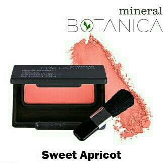 Mineral Botanica Blushon  4