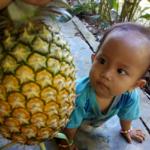Nanas Bogor 2