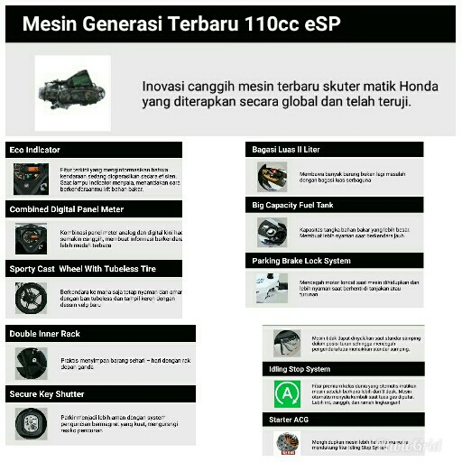 New Beat Sporty Esp 3