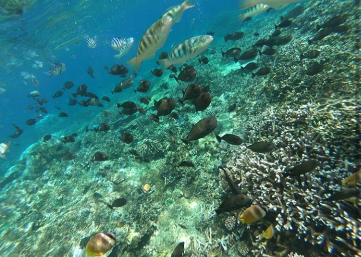 Open Trip Pulau Peucang Ujung Kulon Weekend 2