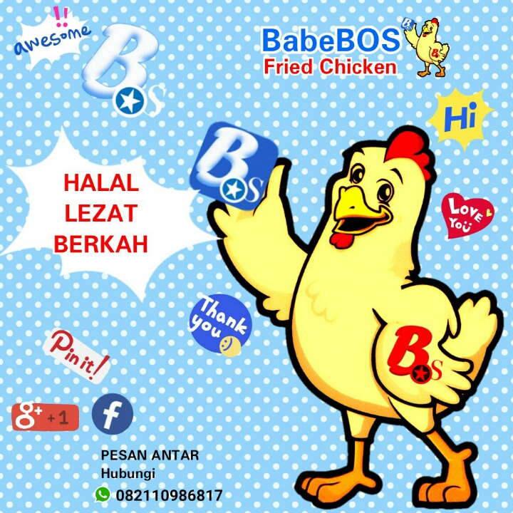 PAKET GOLD BabeBOS Chicken 2