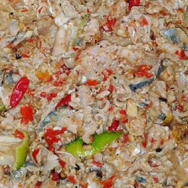Pacco Ikan Tuna 2